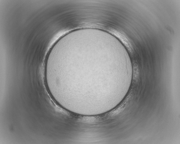 X0000115061094200912071146