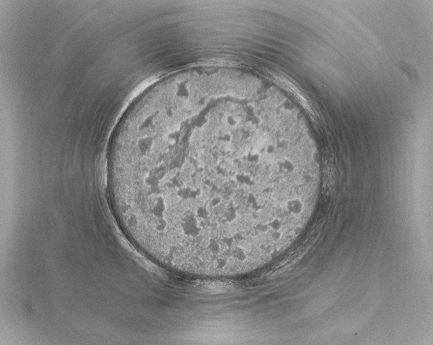 X0000115061095200912071146