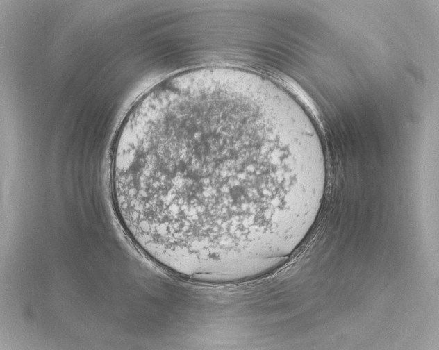 X0000115061096200912071146