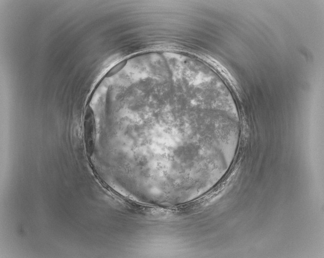 X0000115061097200912071146