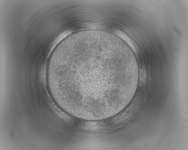 X0000115061098200912071146