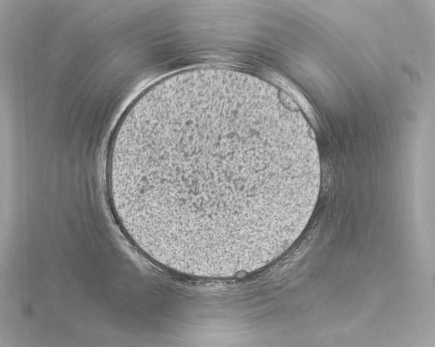 X0000115061099200912071146