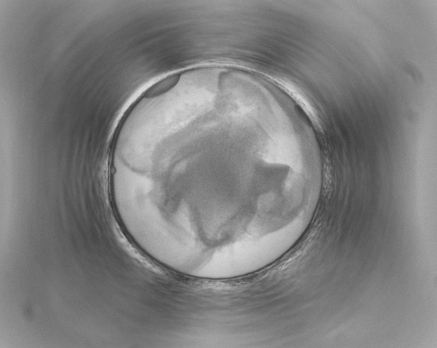 X0000115061100200912071146