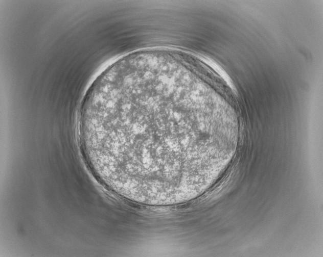 X0000115061101200912071146