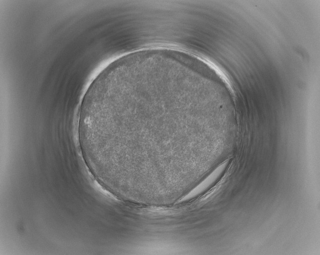 X0000115061102200912071146