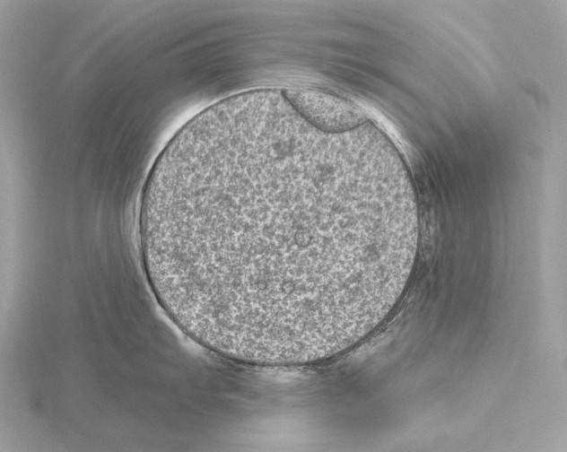 X0000115061103200912071146