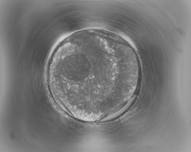 X0000115061104200912071146