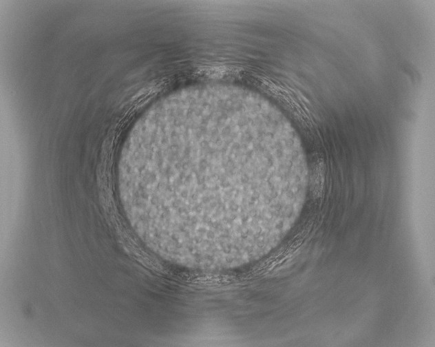 X0000115061105200912071145