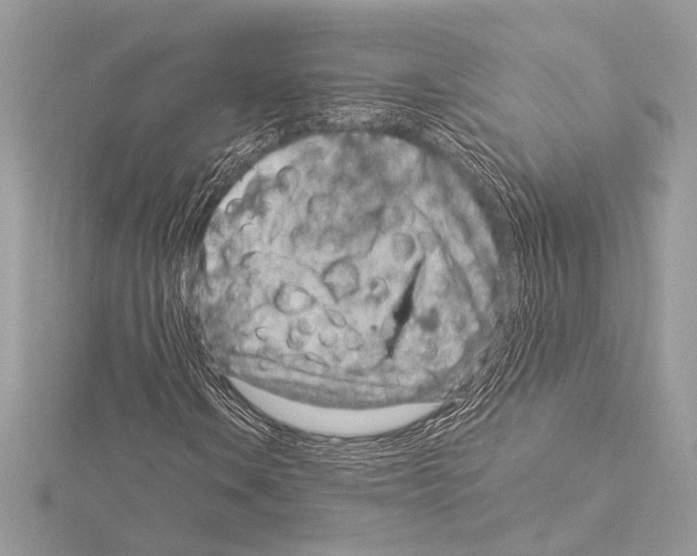 X0000115061106200912071145