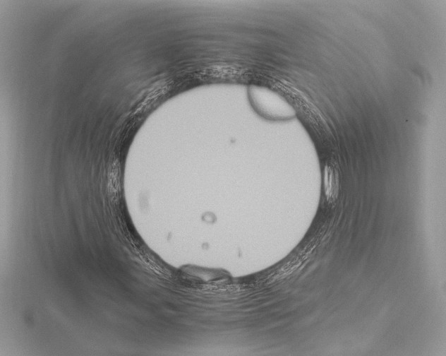 X0000115061107200912071145