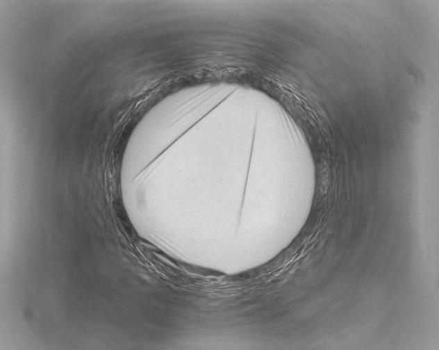 X0000115061109200912071145