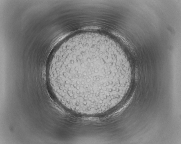 X0000115061113200912071145