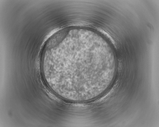 X0000115061114200912071145