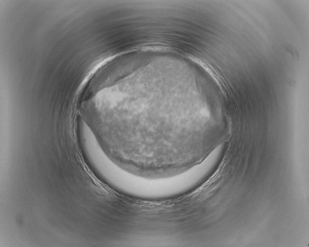 X0000115061115200912071145