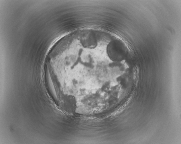 X0000115061117200912071145