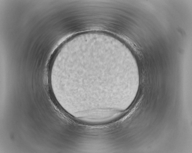 X0000115061118200912071145