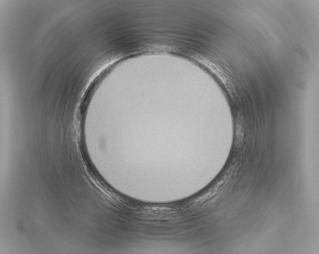 X0000115061119200912071145