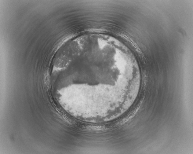 X0000115061121200912071146