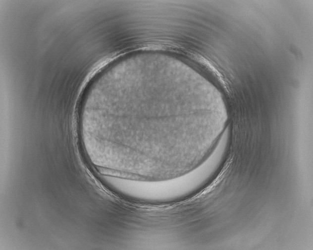 X0000115061122200912071146