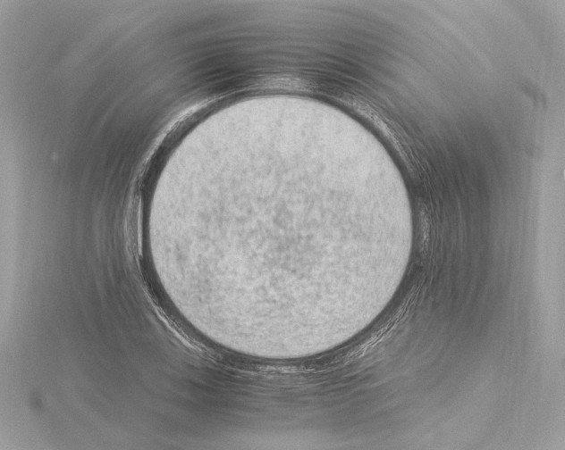 X0000115061123200912071146