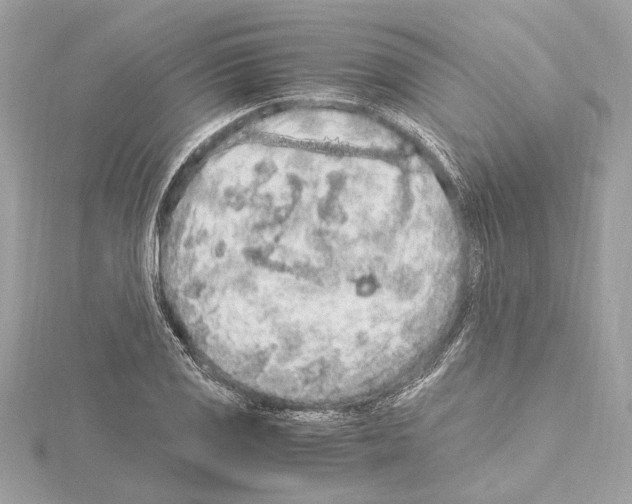 X0000115061125200912071146