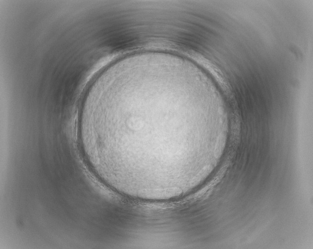 X0000115061126200912071146