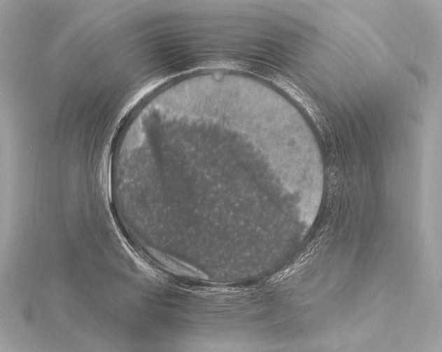 X0000115061127200912071146