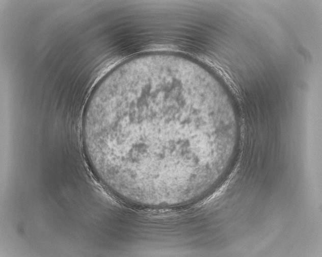 X0000115061129200912071146