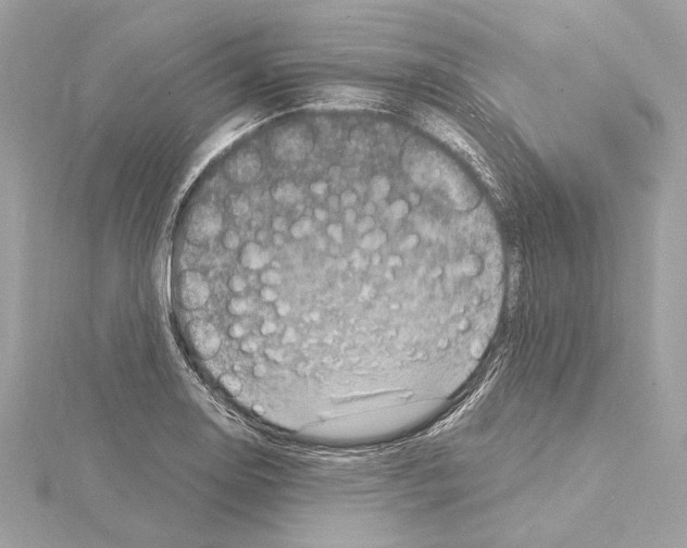 X0000115061130200912071146