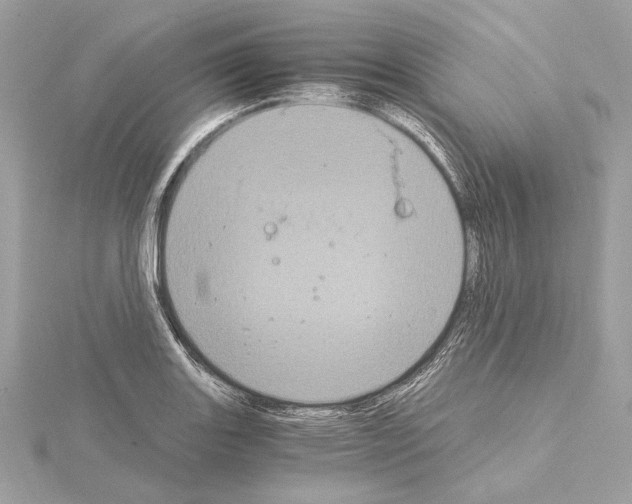 X0000115061131200912071146