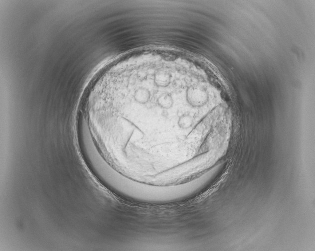 X0000115061133200912071146