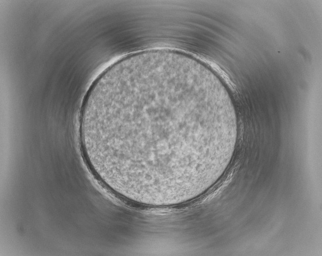 X0000115061134200912071146