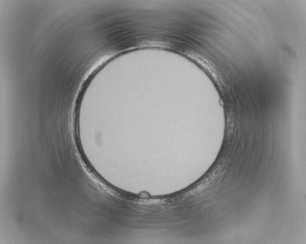 X0000115061135200912071146