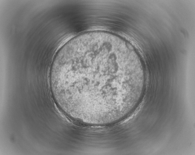 X0000115061137200912071146