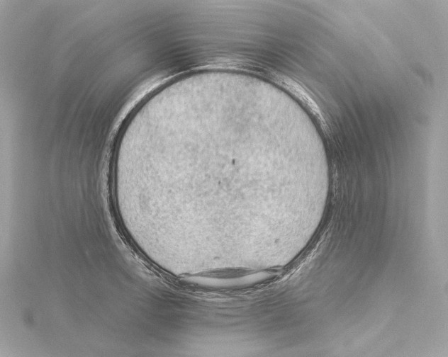 X0000115061138200912071146