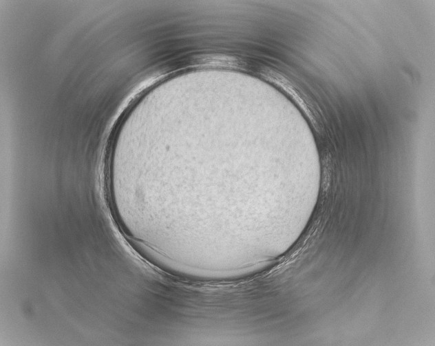 X0000115061139200912071146