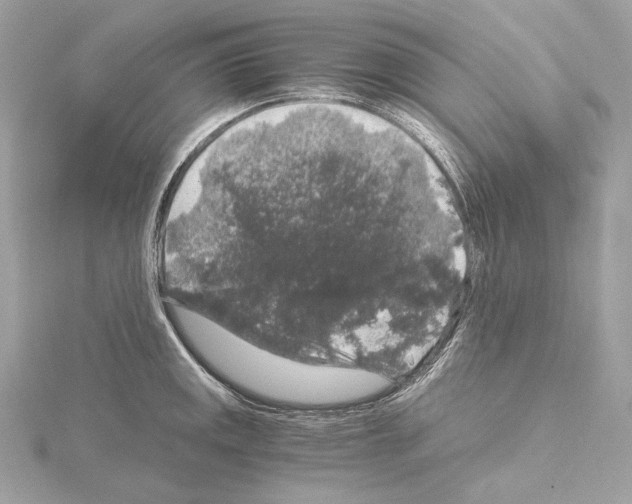 X0000115061141200912071146