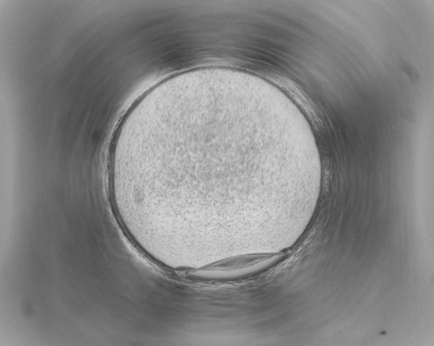 X0000115061143200912071146