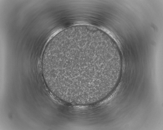 X0000115061145200912071146