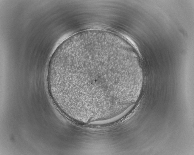 X0000115061146200912071146