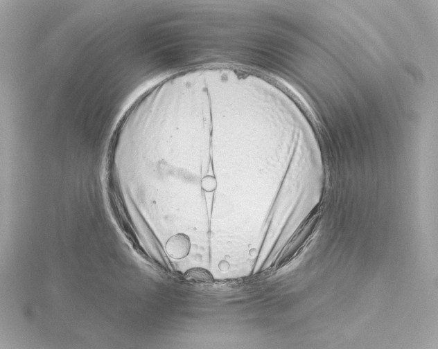 X0000115061149200912071146