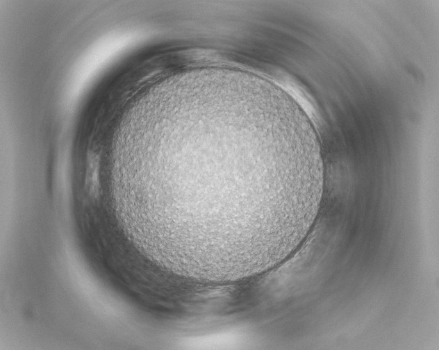 X0000115061150200912071146