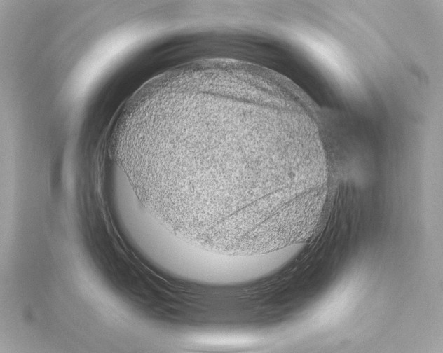 X0000115061151200912071146