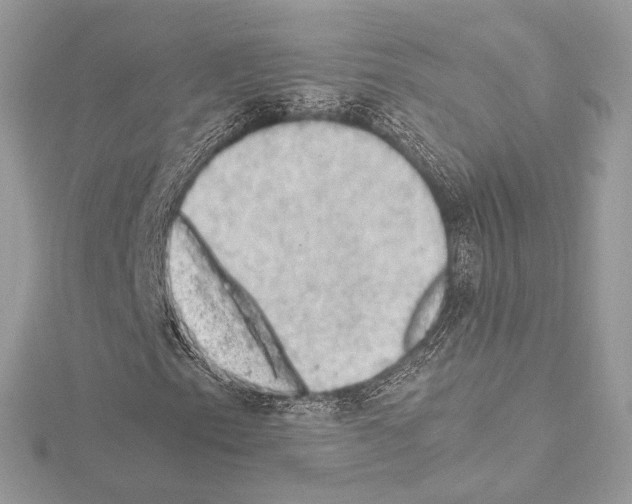 X0000115061153200912071145