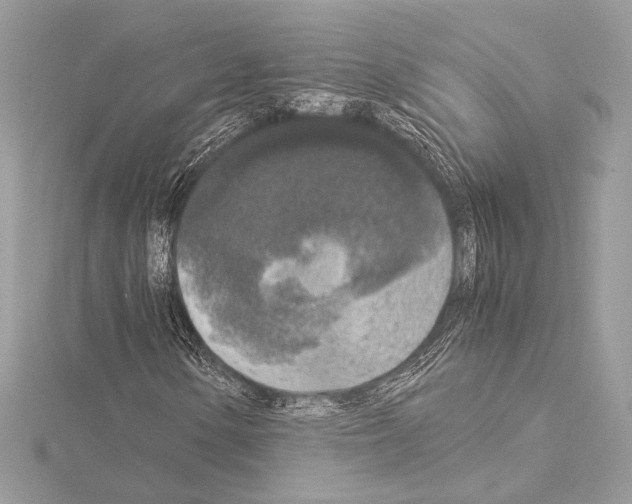 X0000115061154200912071145