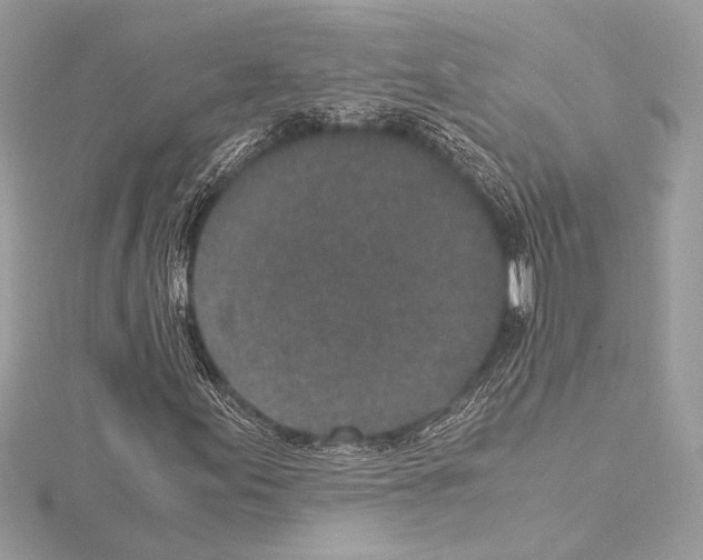 X0000115061155200912071145