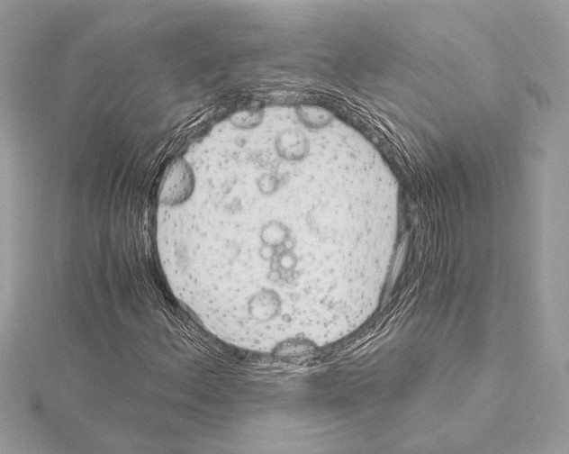 X0000115061156200912071145