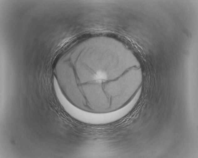 X0000115061157200912071145