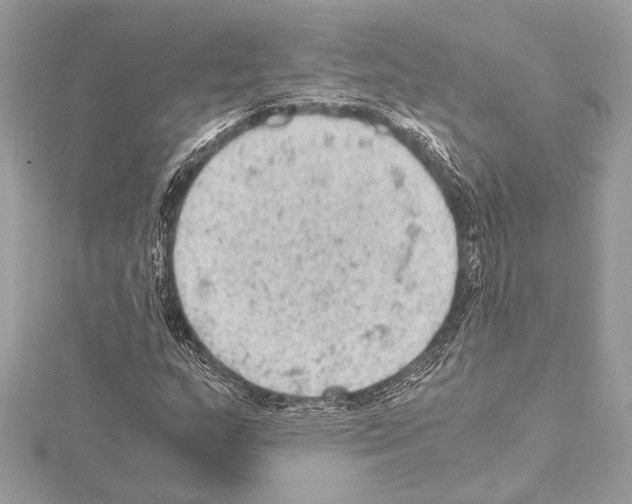 X0000115061159200912071145