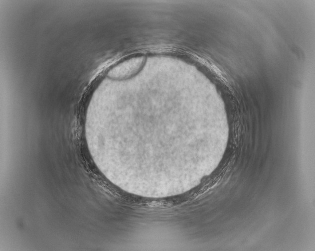 X0000115061160200912071145